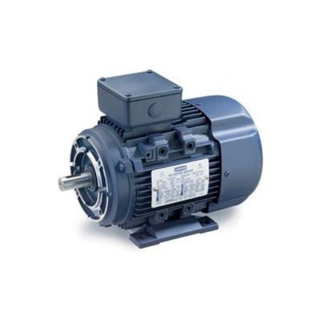 LEESON ELECTRIC Leeson Motors Motor IEC Metric Motor-7.5HP, 230/460V, 3525/2915RPM, IP55, B3/B14, 1.15 SF 193367.6